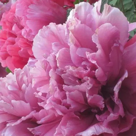 Appartement Op De Warft Vollerwiek