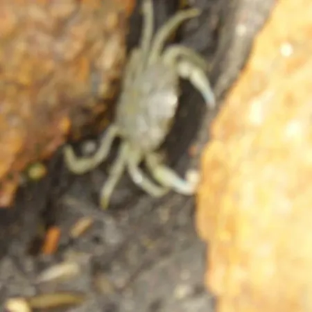 Appartement Op De Warft *