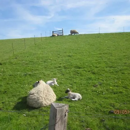 Op De Warft Appartement *