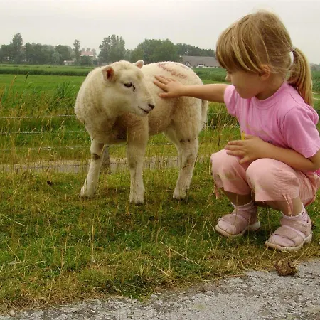 Op De Warft Appartement *