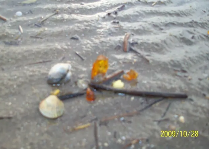 Op De Warft Vollerwiek