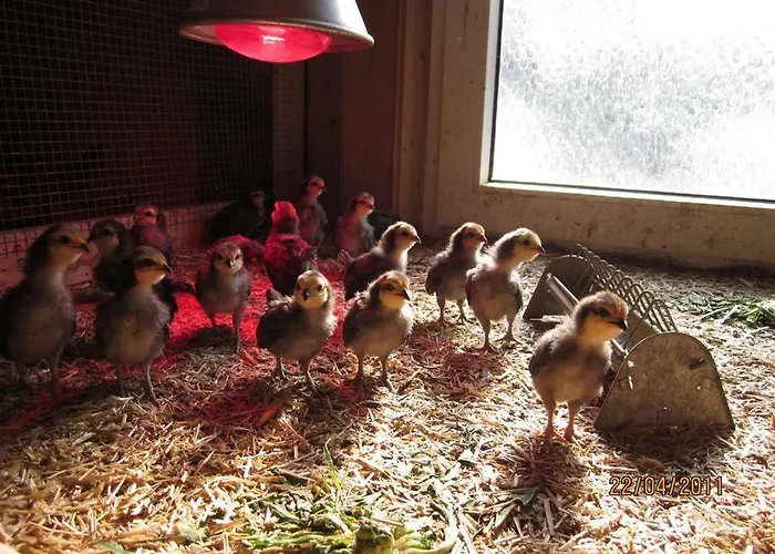 Op De Warft Vollerwiek