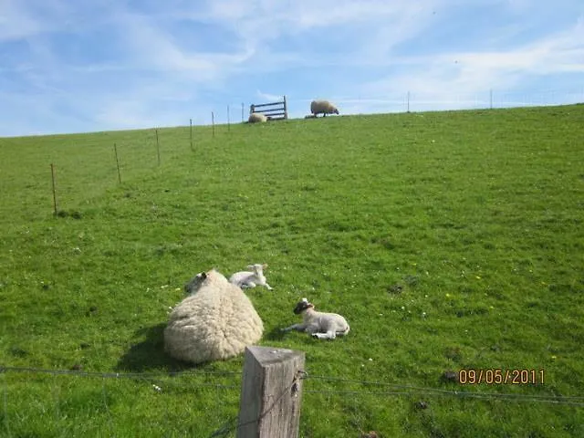 Op De Warft Apartment *