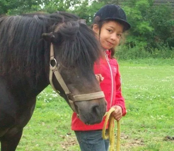 Op De Warft * Vollerwiek